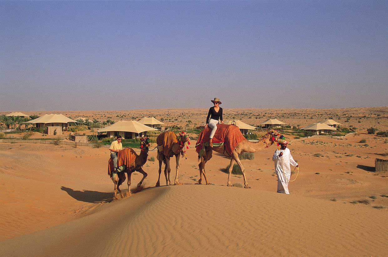Camel Dubai